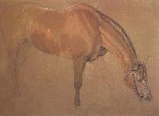 Sir edwin landseer,ra Study of a Horse (mk46)
